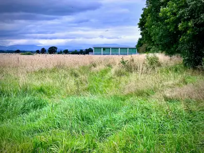 Prudential Craigforth photograph 1346