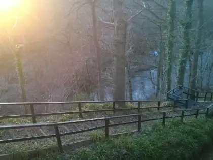 Birkhill Fireclay Mine photograph 3