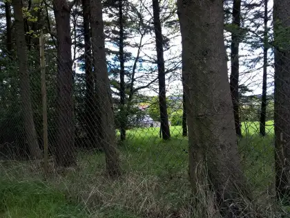 Strathmartine Hospital photograph 15